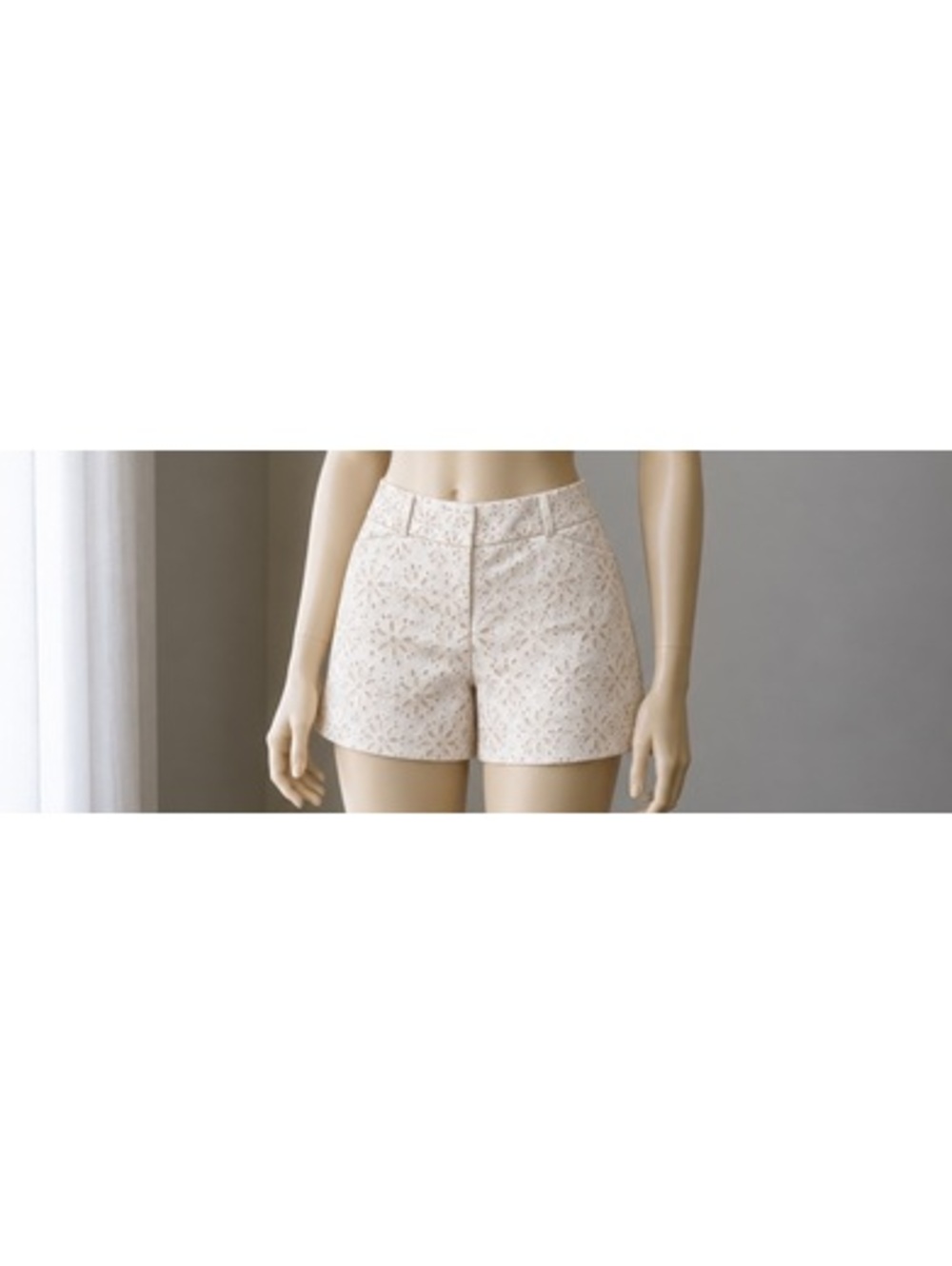 The Limited Womens Size 6 Ivory Eyelet Lace Shorts Floral Dressy Lined